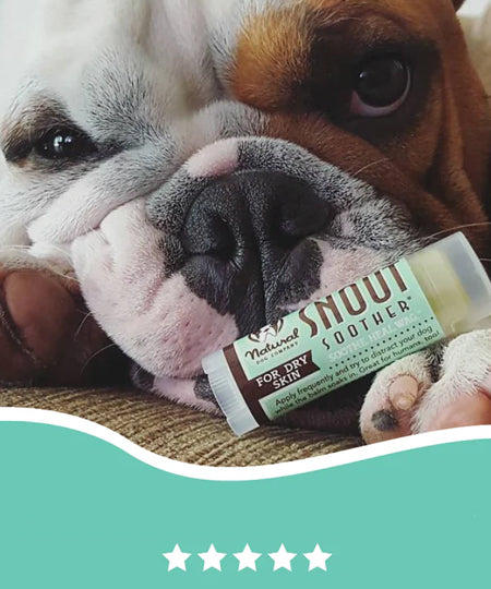 Natural-dog-company-soin-naturel-pour-chien-baume-reparateur-truffe