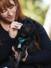 Natural-dog-company-soin-naturel-pour-chien-lingettes-nettoyantes-yeux