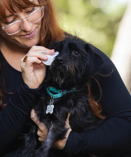 Natural-dog-company-soin-naturel-pour-chien-lingettes-nettoyantes-yeux