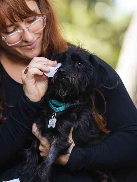 Natural-dog-company-soin-naturel-pour-chien-lingettes-nettoyantes-yeux