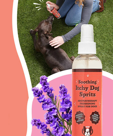 Natural-dog-company-soin-naturel-pour-chien-spray-lotion-anti-demangeaison