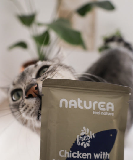 Naturea-patee-naturelle-pour-chat-poisson-blanc