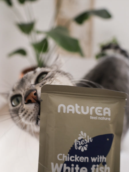 Naturea-patee-naturelle-pour-chat-poisson-blanc