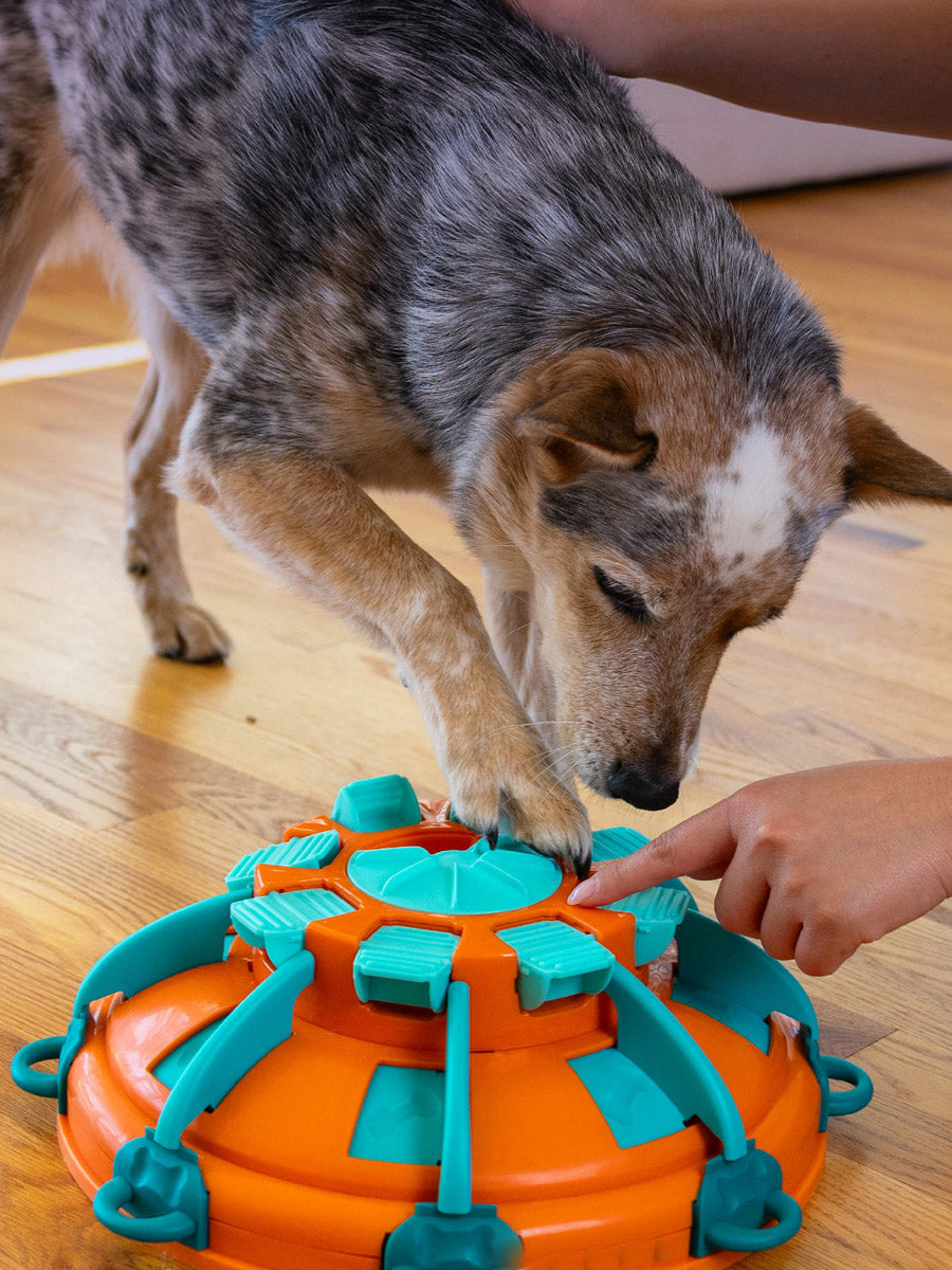 Outward-Hound-jouet-enrichissement-occupation-pour-chien-tower-of-treat