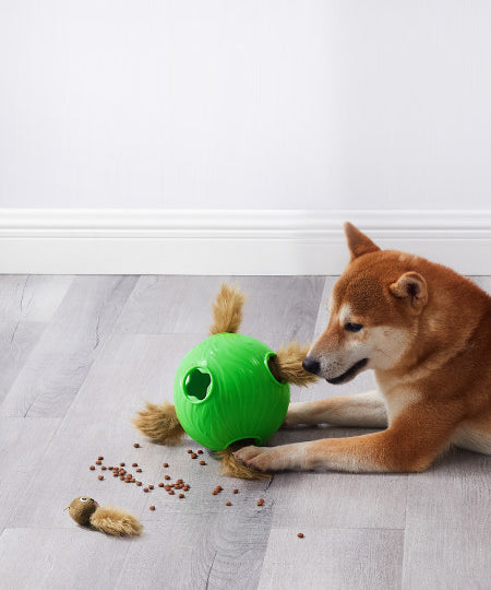 Outward-hound-jouet-balle-interactif-puzzle-pour-chien-Dog-Snuffle-N_-Treat