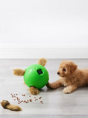 Outward-hound-jouet-balle-interactif-puzzle-pour-chien-Dog-Snuffle-N_-Treat