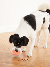 Outward-hound-jouet-balle-interactif-puzzle-pour-chien-dog-Rumble-Ball