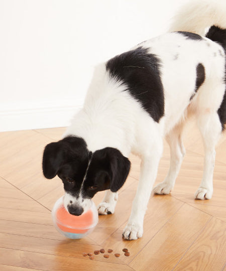 Outward-hound-jouet-balle-interactif-puzzle-pour-chien-dog-Rumble-Ball