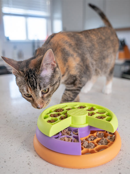 Outward-hound-jouet-interactif-puzzle-pour-chat-kitty-lickin-layers