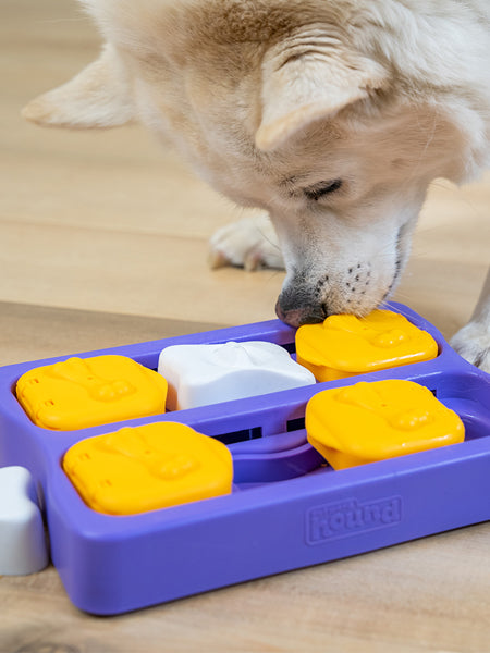 Jouet interactif / puzzle pour chien - Dog Brick Small Edition - Niveau 2 - inooko