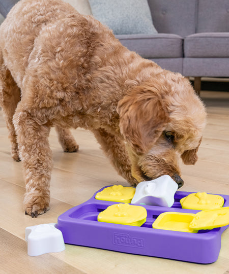 puzzle pour chien - Dog Brick Small Edition - Niveau 2 - inooko