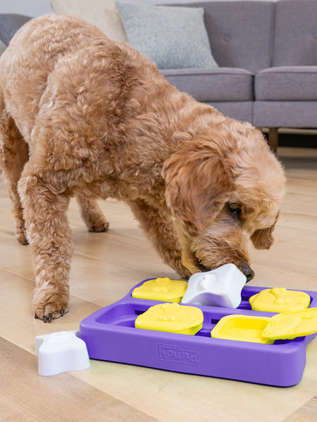 Jouet interactif / puzzle pour chien - Dog Brick Small Edition - Niveau 2 - inooko