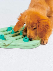 Outward-hound-jouet-interactif-puzzle-pour-chiot-puppy-hide-n-slide