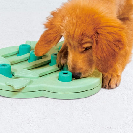 Outward-hound-jouet-interactif-puzzle-pour-chiot-puppy-hide-n-slide