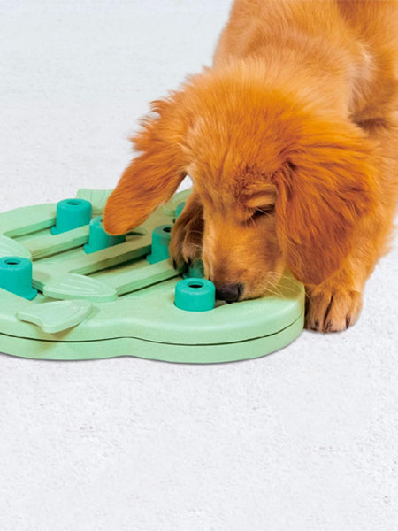 Outward-hound-jouet-interactif-puzzle-pour-chiot-puppy-hide-n-slide