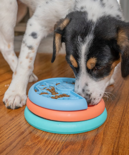 Outward-hound-jouet-interactif-puzzle-pour-chiot-puppy-lickin-layers