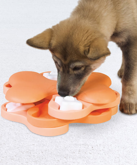 puzzle pour chiot - Puppy Tornado - Nina Ottosson - inooko