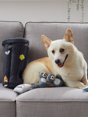 Outward-hound-jouet-peluche-interactif-puzzle-pour-chien-Hide-A-Raccoon