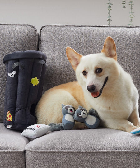 Outward-hound-jouet-peluche-interactif-puzzle-pour-chien-Hide-A-Raccoon