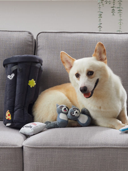 Outward-hound-jouet-peluche-interactif-puzzle-pour-chien-Hide-A-Raccoon