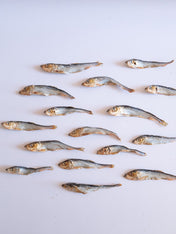 PAUL-PAULINA-friandise-mastication-naturelles-chien-poisson-hareng