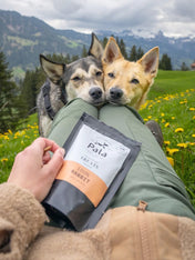 Pala-pet-food-friandises-premium-nordique-pour-chien-lapin