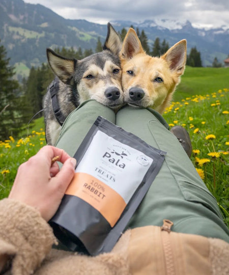 Pala-pet-food-friandises-premium-nordique-pour-chien-lapin