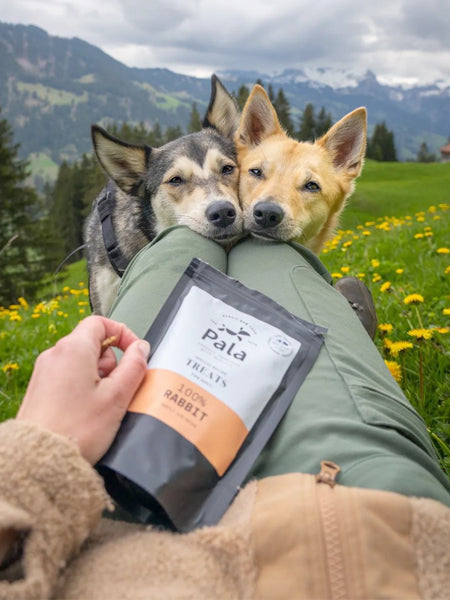 Pala-pet-food-friandises-premium-nordique-pour-chien-lapin