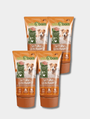 Pâté-tube-chien-Volaille-WildBorn lot de 4