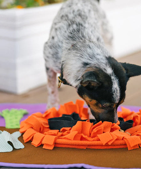 Pet-play-jouet-interactif-tapis-de-fouille-chien-chiot-halloween
