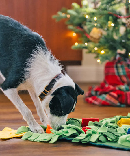 Pet-play-jouet-interactif-tapis-de-fouille-chien-chiot-sapin-noel
