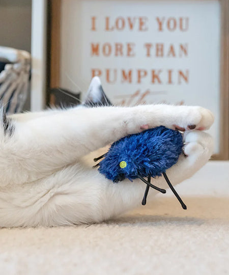 Pet-play-jouet-peluche-chat-Feline-Frenzy-Halloween-Cat-Toy-Collection-Creepy-Critters    Pet-play-jouet-peluche-chat-Feline-Frenzy-Halloween-Cat-Toy-Collection-Creepy-Critters