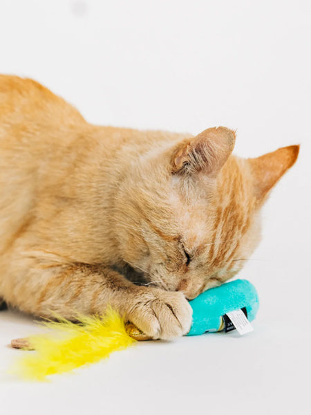 Pet-play-jouet-peluche-chat-Feline-Frenzy-Pop-Fizz-Meow