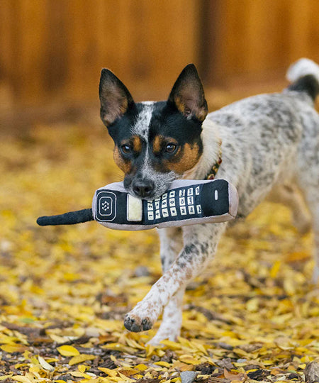 Pet-play-jouet-peluche-chien-90sClassics-Toy-90s-Are-Calling