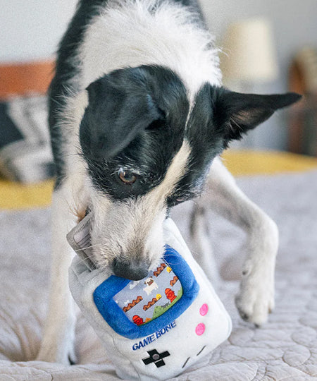 Pet-play-jouet-peluche-chien-90sClassics-Toy-Game-Bone