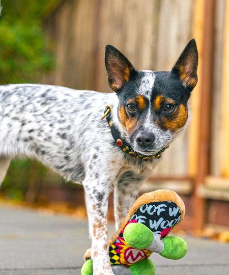 Pet-play-jouet-peluche-chien-90sClassics-Toy-Kickflippin_K9