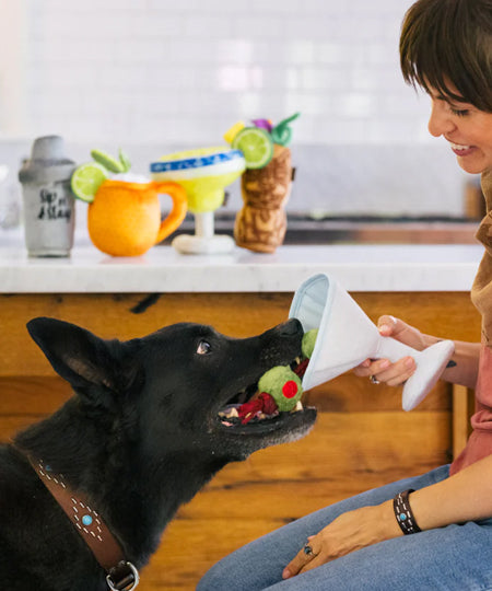 Pet-play-jouet-peluche-chien-Barktender-Pawtini