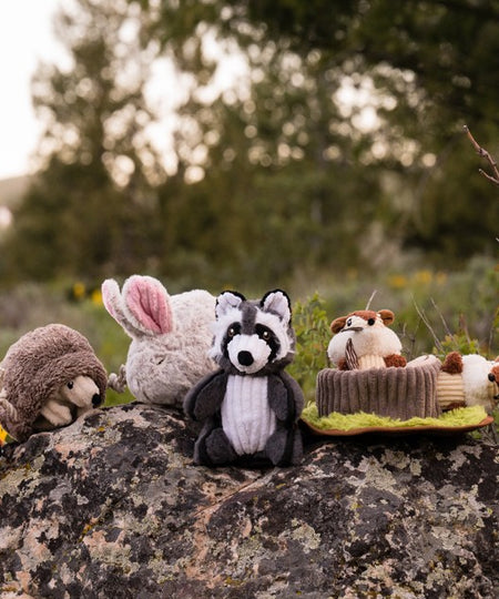 Pet-play-jouet-fouille-peluche-chien-Forest-Friends-Woodland-Creatures-ecureuil