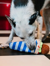 Pet-play-jouet-peluche-chien-InternationalClassic-falafel