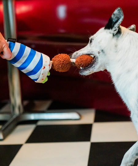 Pet-play-jouet-peluche-chien-InternationalClassic-falafel