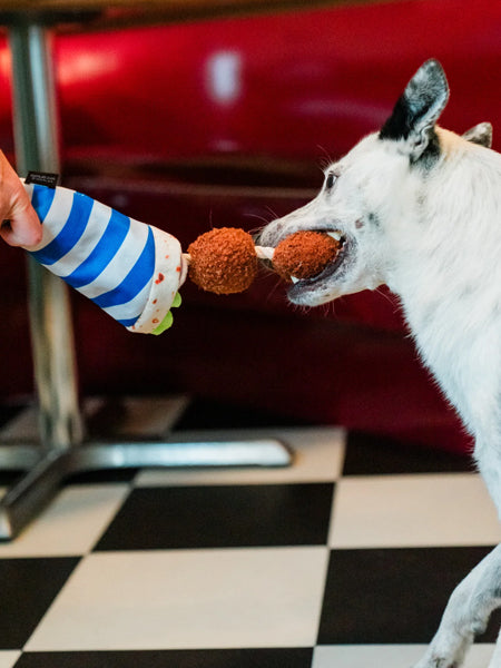 Pet-play-jouet-peluche-chien-InternationalClassic-falafel