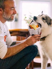 Pet-play-jouet-peluche-chien-InternationalClassic-fish-n-chips