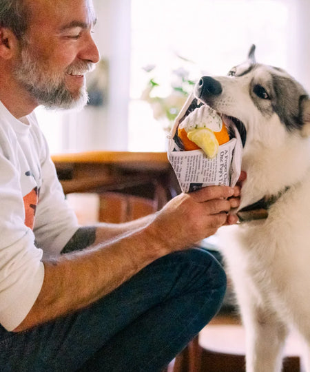 Pet-play-jouet-peluche-chien-InternationalClassic-fish-n-chips