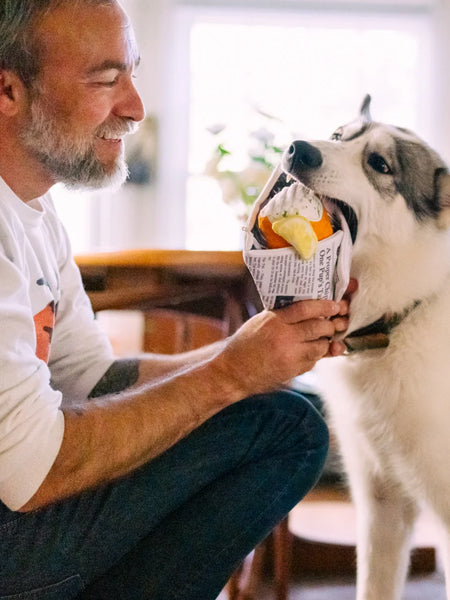 Pet-play-jouet-peluche-chien-InternationalClassic-fish-n-chips