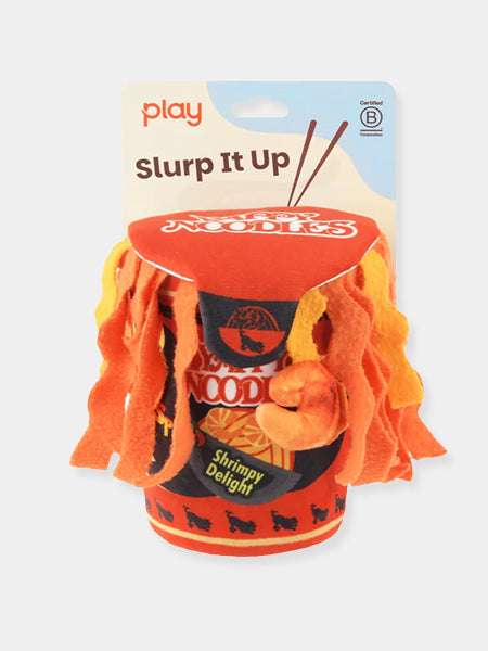 Pet-play-jouet-peluche-chien-InternationalClassic-noodles