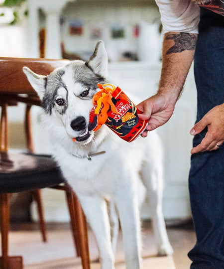 Pet-play-jouet-peluche-chien-InternationalClassic-noodles