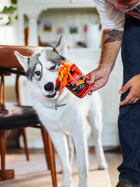 Pet-play-jouet-peluche-chien-InternationalClassic-noodles