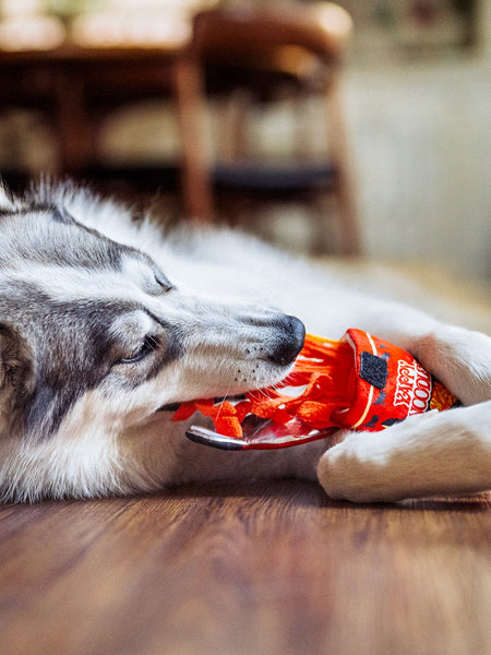 Pet-play-jouet-peluche-chien-InternationalClassic-noodles