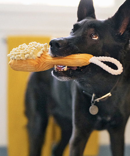 Pet-play-jouet-peluche-chien-SplishSplash-Bark-n_-Bristles