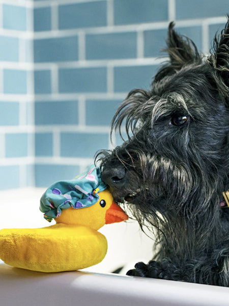       Pet-play-jouet-peluche-chien-SplishSplash-Bubbles-the-Duck